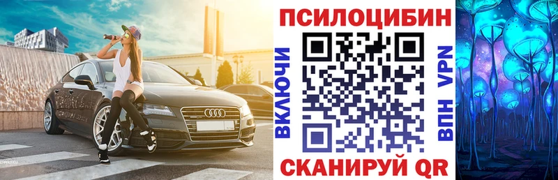 Галлюциногенные грибы Psilocybe  что такое   Мензелинск 